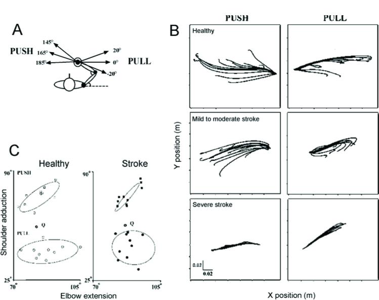 https://cdn.ncbi.nlm.nih.gov/pmc/blobs/9282/5260515/d9461aa7c3fd/j_hukin-2015-0191_fig_006.jpg