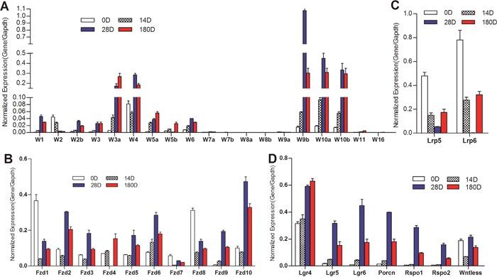 https://cdn.ncbi.nlm.nih.gov/pmc/blobs/928b/5432321/3b13fc3a3c45/oncotarget-08-27105-g001.jpg