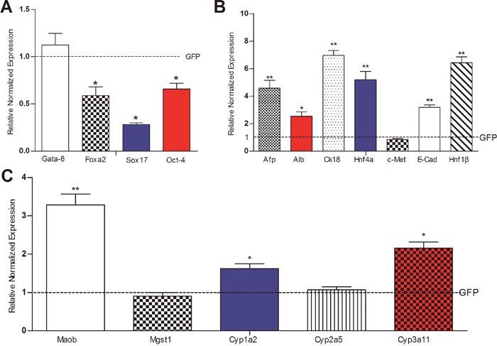 https://cdn.ncbi.nlm.nih.gov/pmc/blobs/928b/5432321/4d1730228778/oncotarget-08-27105-g006.jpg