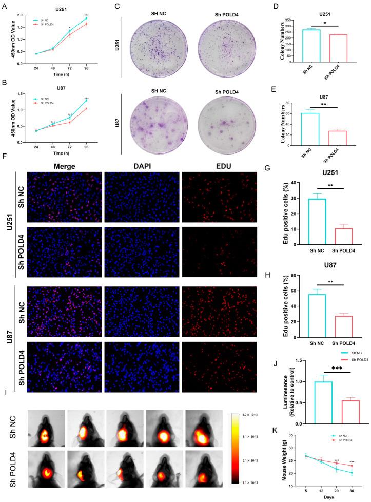 https://cdn.ncbi.nlm.nih.gov/pmc/blobs/9294/10530695/57fdc765f311/ijms-24-13919-g013.jpg