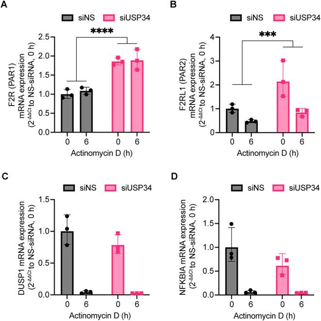 https://cdn.ncbi.nlm.nih.gov/pmc/blobs/9294/11809309/3b12789eaffa/mbc-36-ar12-g007.jpg