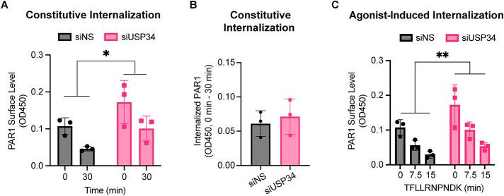 https://cdn.ncbi.nlm.nih.gov/pmc/blobs/9294/11809309/6ddd6979bcff/mbc-36-ar12-g004.jpg