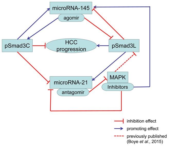 https://cdn.ncbi.nlm.nih.gov/pmc/blobs/9295/5689586/5b26ce1f8f75/oncotarget-08-84958-g009.jpg