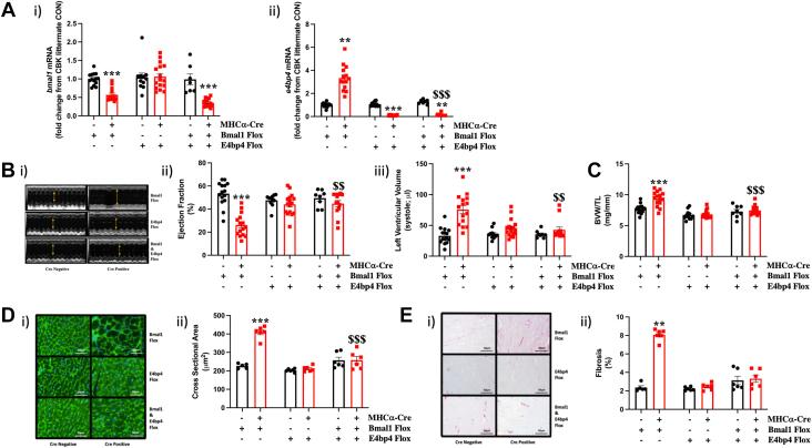 https://cdn.ncbi.nlm.nih.gov/pmc/blobs/9296/10543917/42114dd9ba89/gr1.jpg