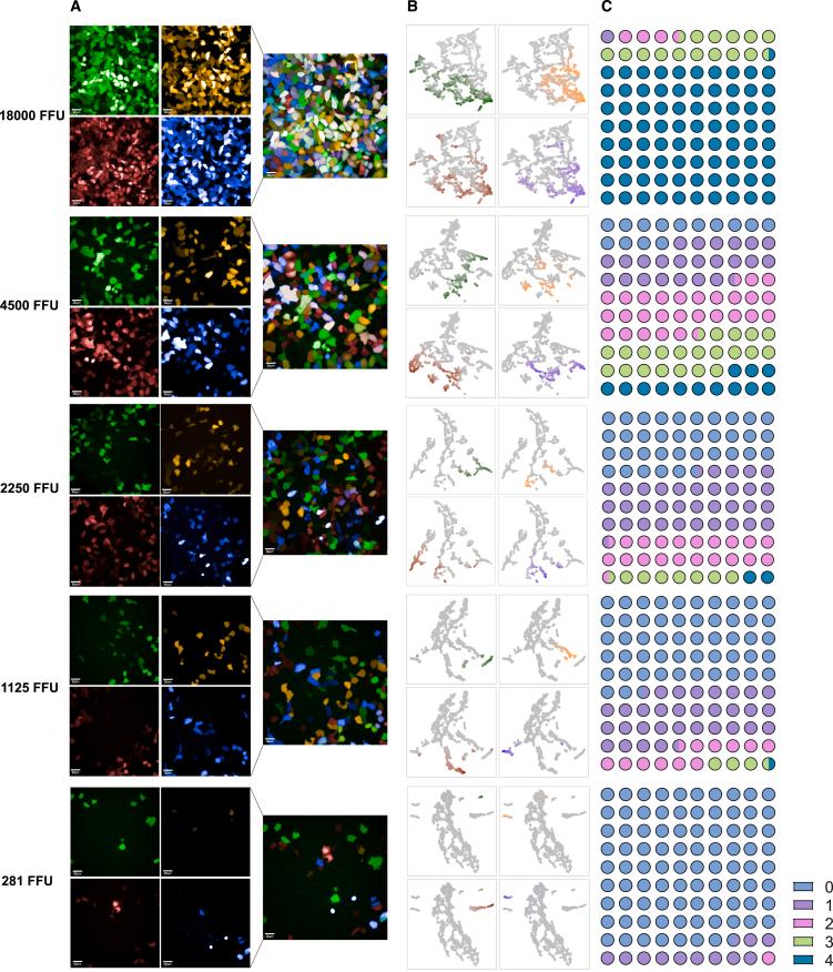https://cdn.ncbi.nlm.nih.gov/pmc/blobs/929a/11440059/c6d8a80a3716/gr2.jpg