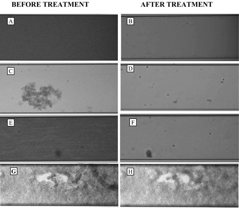 https://cdn.ncbi.nlm.nih.gov/pmc/blobs/929a/4909806/b0a9a92808f2/253_2016_7310_Fig1_HTML.jpg