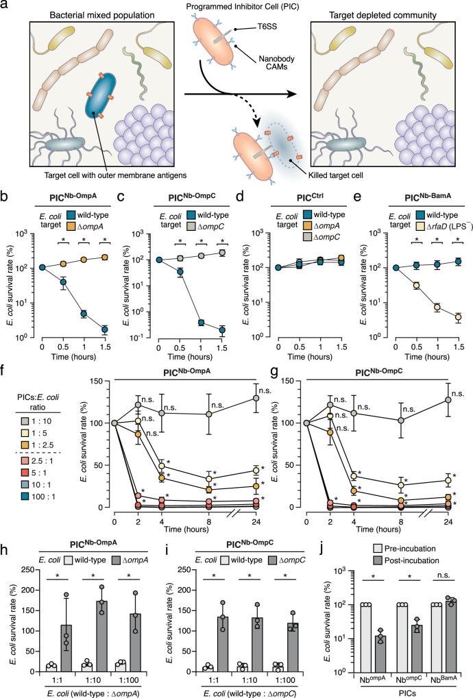 https://cdn.ncbi.nlm.nih.gov/pmc/blobs/929b/11297345/352deab77764/41467_2024_51017_Fig6_HTML.jpg