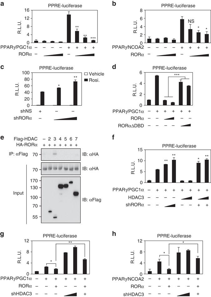 https://cdn.ncbi.nlm.nih.gov/pmc/blobs/929c/5534431/64d0a4a3bda8/41467_2017_215_Fig4_HTML.jpg