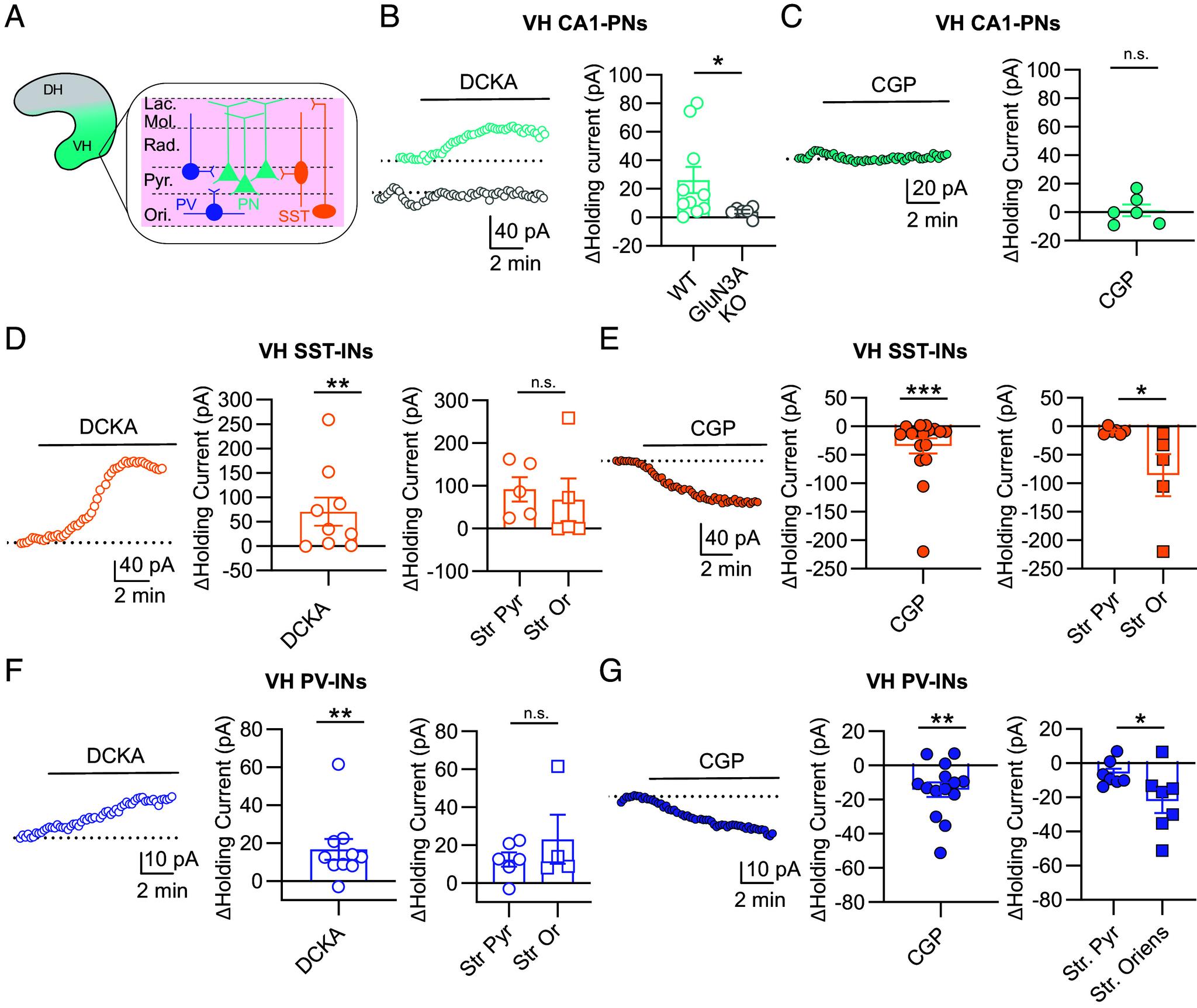 https://cdn.ncbi.nlm.nih.gov/pmc/blobs/929f/12452925/f5113c907eef/pnas.2501118122fig03.jpg