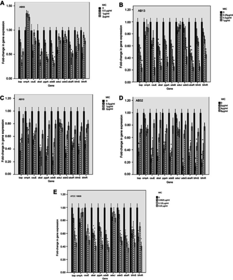 https://cdn.ncbi.nlm.nih.gov/pmc/blobs/929f/6512781/9d90b1d19cd2/IDR-12-1099-g0002.jpg