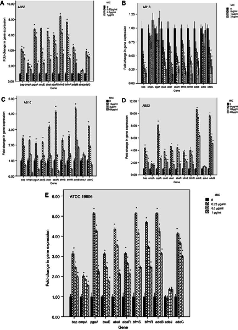 https://cdn.ncbi.nlm.nih.gov/pmc/blobs/929f/6512781/d4b15437b1bb/IDR-12-1099-g0003.jpg
