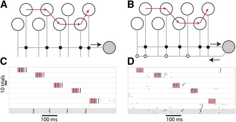 https://cdn.ncbi.nlm.nih.gov/pmc/blobs/92a2/8208650/62f46137681b/ENEURO.0059-20.2021_f002.jpg