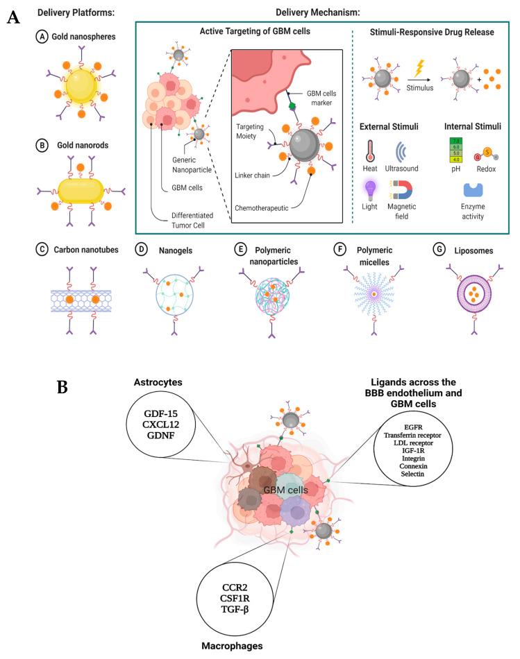 https://cdn.ncbi.nlm.nih.gov/pmc/blobs/92a3/9415007/401bdf06a3e5/pharmaceutics-14-01697-g005.jpg