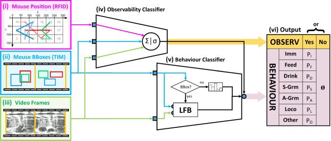 https://cdn.ncbi.nlm.nih.gov/pmc/blobs/92a6/11568001/4810e6eab359/11263_2024_2118_Fig2_HTML.jpg