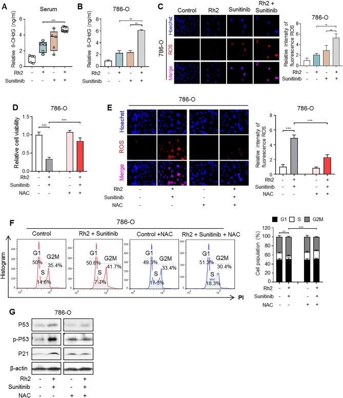 https://cdn.ncbi.nlm.nih.gov/pmc/blobs/92a6/9672391/3d130592986a/41598_2022_20075_Fig4_HTML.jpg