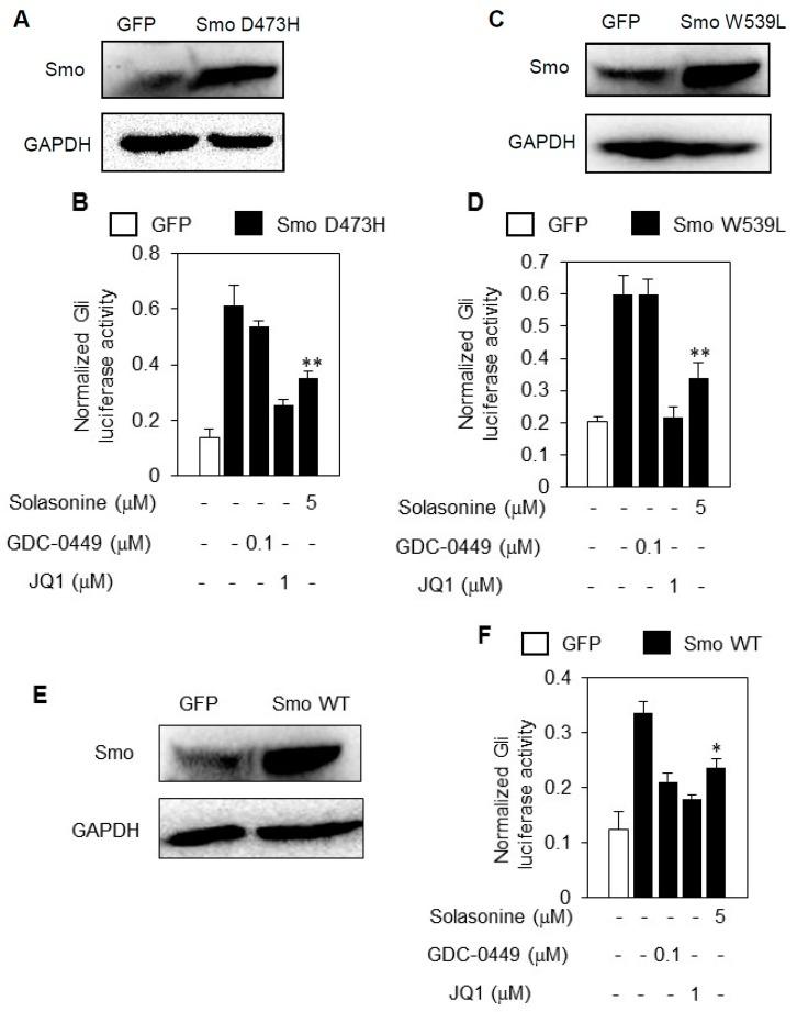 https://cdn.ncbi.nlm.nih.gov/pmc/blobs/92a7/6274431/7655bc454210/molecules-21-01364-g005.jpg
