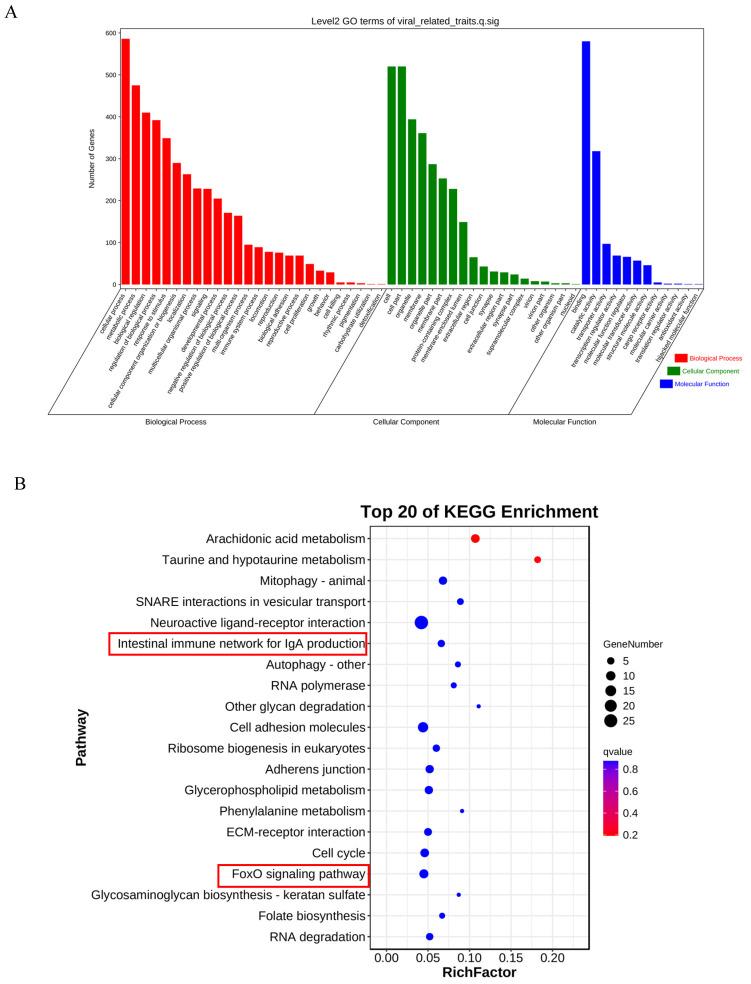 https://cdn.ncbi.nlm.nih.gov/pmc/blobs/92a8/11432711/02221766005f/ijms-25-10036-g004.jpg