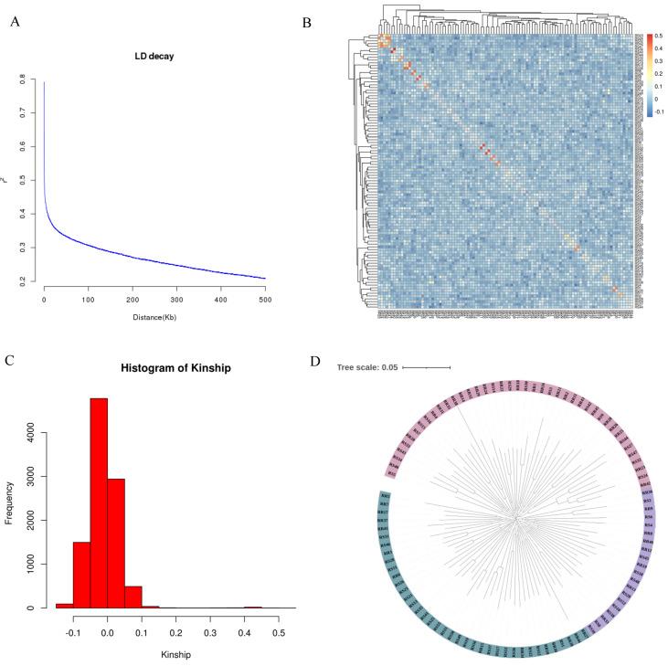 https://cdn.ncbi.nlm.nih.gov/pmc/blobs/92a8/11432711/17025d12e5f2/ijms-25-10036-g002.jpg
