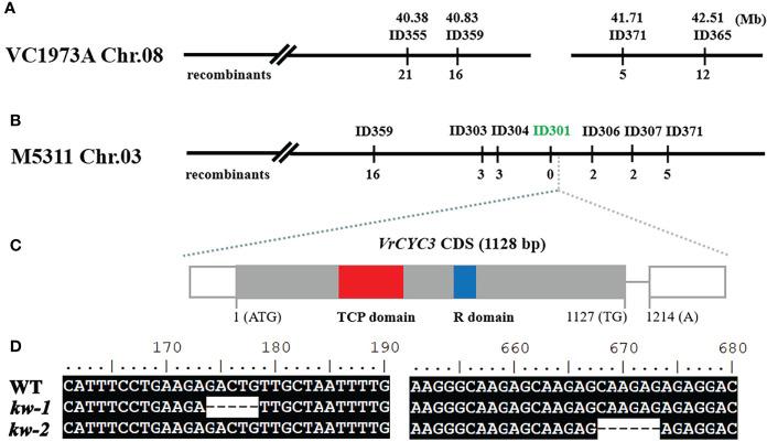 https://cdn.ncbi.nlm.nih.gov/pmc/blobs/92a9/9560771/0d58ddf7caba/fpls-13-996239-g003.jpg