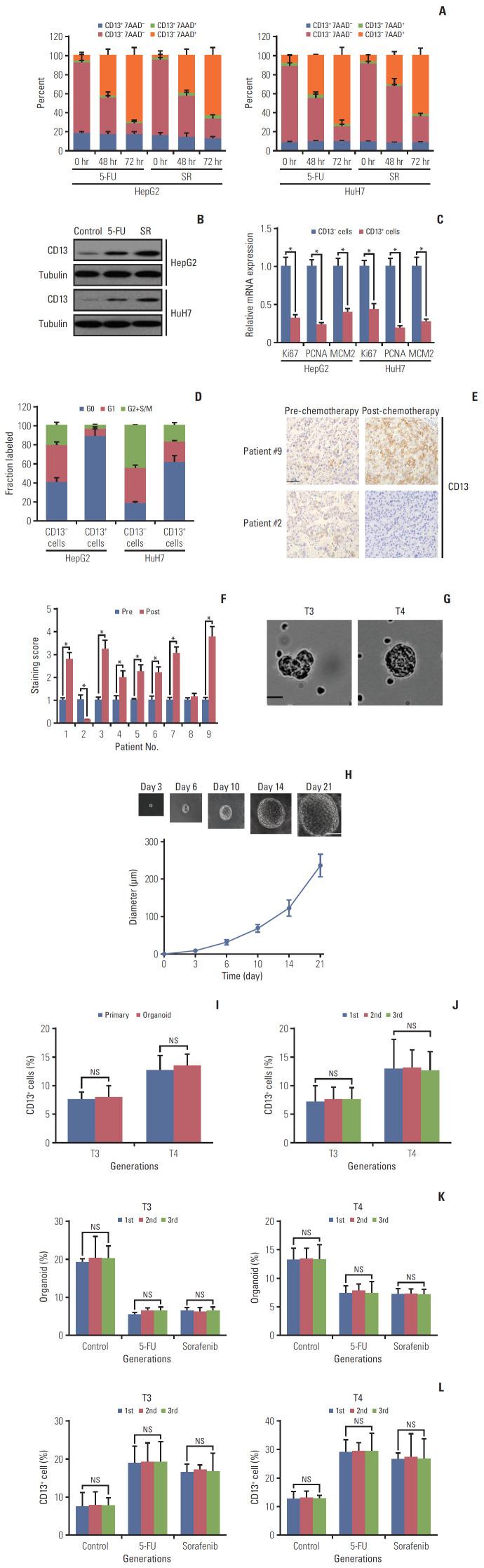 https://cdn.ncbi.nlm.nih.gov/pmc/blobs/92ab/7176959/1e30b4b89078/crt-2019-444f1.jpg