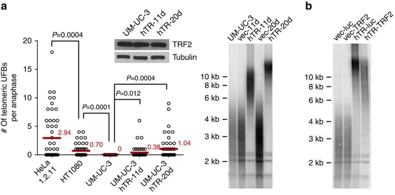 https://cdn.ncbi.nlm.nih.gov/pmc/blobs/92ac/4686832/2696931831aa/ncomms10132-f5.jpg