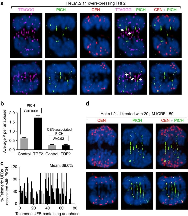 https://cdn.ncbi.nlm.nih.gov/pmc/blobs/92ac/4686832/30ca9c48ab5f/ncomms10132-f4.jpg
