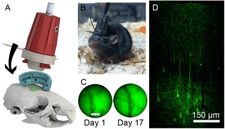 https://cdn.ncbi.nlm.nih.gov/pmc/blobs/92ad/5970169/c34a1ad679db/41598_2018_26326_Fig6_HTML.jpg