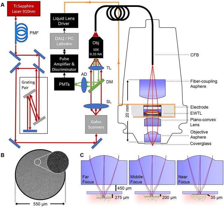 https://cdn.ncbi.nlm.nih.gov/pmc/blobs/92ad/5970169/c708b500eef7/41598_2018_26326_Fig1_HTML.jpg