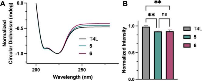 https://cdn.ncbi.nlm.nih.gov/pmc/blobs/92ae/11191396/09c3c6221ba7/bc4c00202_0003.jpg