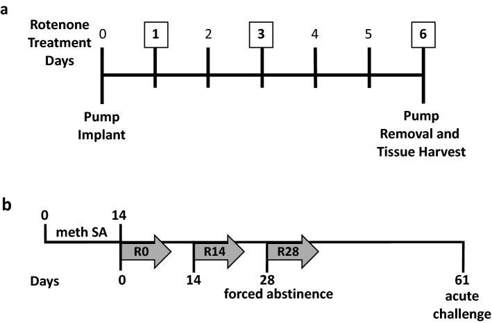 https://cdn.ncbi.nlm.nih.gov/pmc/blobs/92ae/8720100/98868b86af2b/41598_2021_4301_Fig1_HTML.jpg