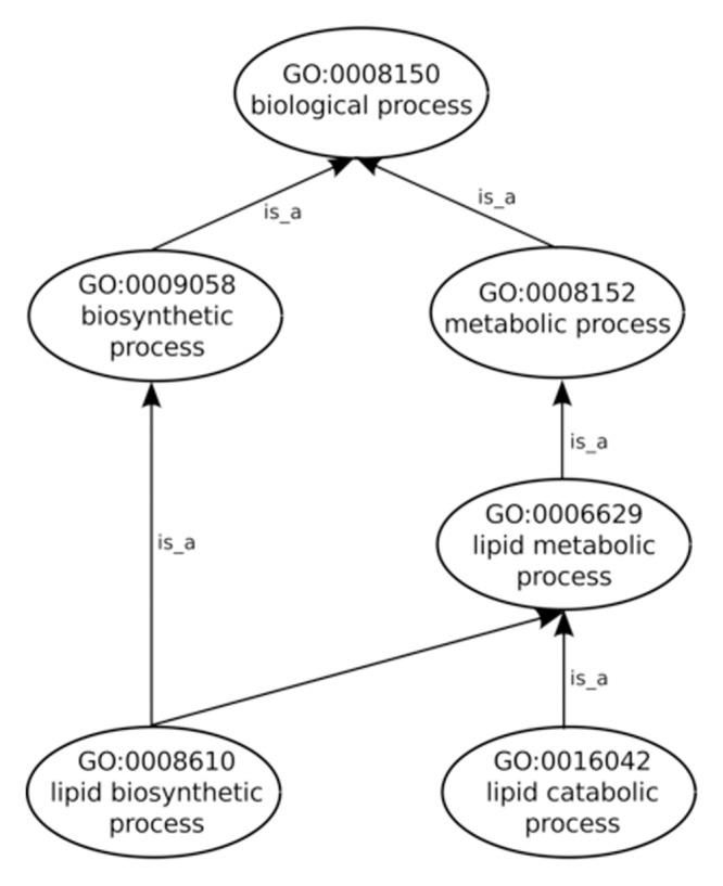 https://cdn.ncbi.nlm.nih.gov/pmc/blobs/92b1/4368792/6b03f6086210/pone.0119631.g001.jpg