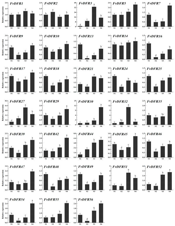 https://cdn.ncbi.nlm.nih.gov/pmc/blobs/92b2/11432397/8f0a1adede56/ijms-25-09911-g010.jpg