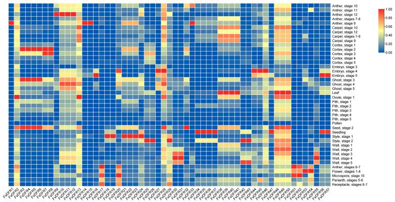 https://cdn.ncbi.nlm.nih.gov/pmc/blobs/92b2/11432397/d8e90e11b883/ijms-25-09911-g008.jpg