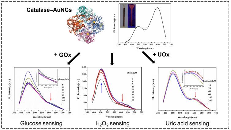 https://cdn.ncbi.nlm.nih.gov/pmc/blobs/92b3/11763740/460361a939e5/biosensors-15-00002-g003.jpg