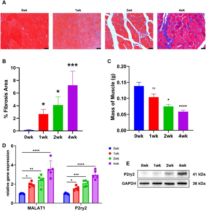 https://cdn.ncbi.nlm.nih.gov/pmc/blobs/92b4/11318857/f1a6dcd4ce33/pone.0308723.g001.jpg