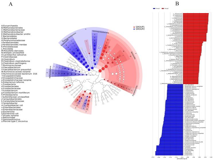 https://cdn.ncbi.nlm.nih.gov/pmc/blobs/92b4/6566245/3e1f739017c5/ijms-20-02390-g004.jpg