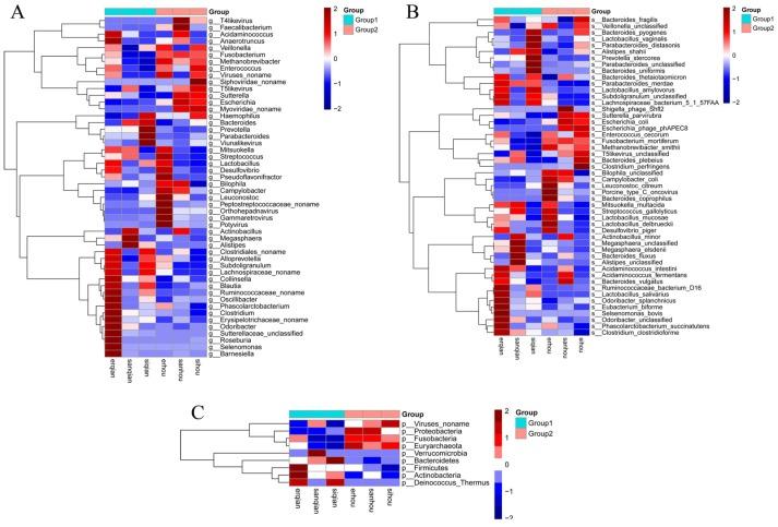 https://cdn.ncbi.nlm.nih.gov/pmc/blobs/92b4/6566245/521f457b51f8/ijms-20-02390-g006.jpg