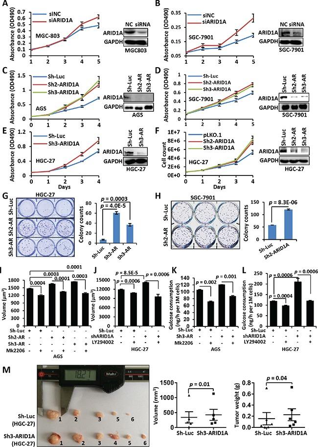 https://cdn.ncbi.nlm.nih.gov/pmc/blobs/92b5/5216786/24a5ea597574/oncotarget-07-46127-g001.jpg