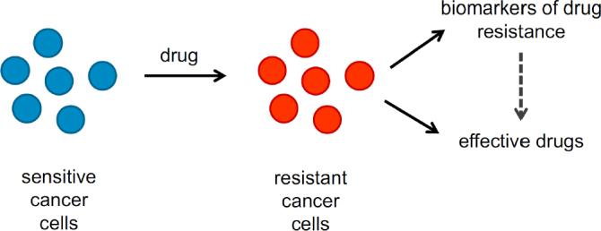 https://cdn.ncbi.nlm.nih.gov/pmc/blobs/92b5/8992517/62f8b3cad144/cdr-2-447.fig.3.jpg