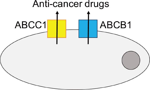https://cdn.ncbi.nlm.nih.gov/pmc/blobs/92b5/8992517/670519eb9a1e/cdr-2-447.fig.2.jpg