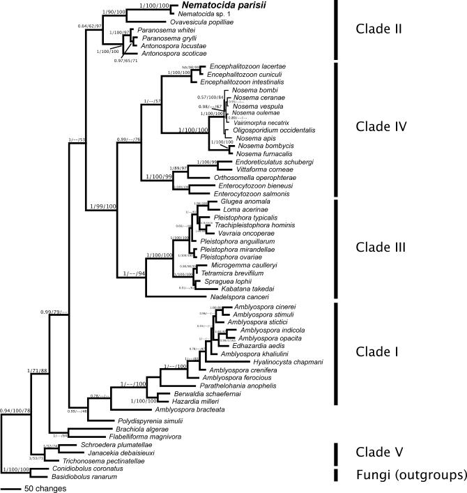 https://cdn.ncbi.nlm.nih.gov/pmc/blobs/92b6/2605911/13c6937287d4/pbio.0060309.g002.jpg