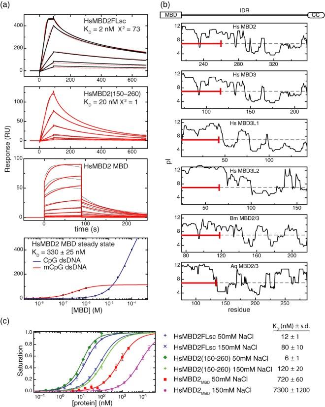 https://cdn.ncbi.nlm.nih.gov/pmc/blobs/92b6/4381075/88ca0a26caab/gkv168fig3.jpg