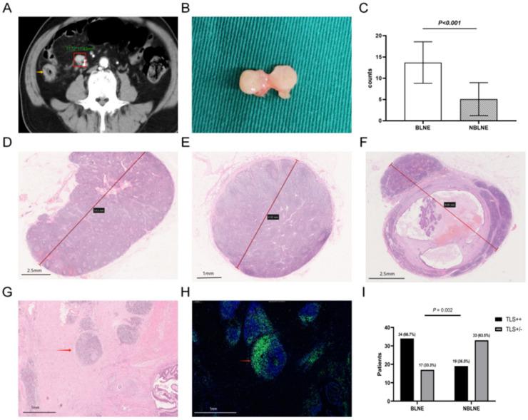https://cdn.ncbi.nlm.nih.gov/pmc/blobs/92b9/12022693/d0c722f4ab4d/gr2.jpg