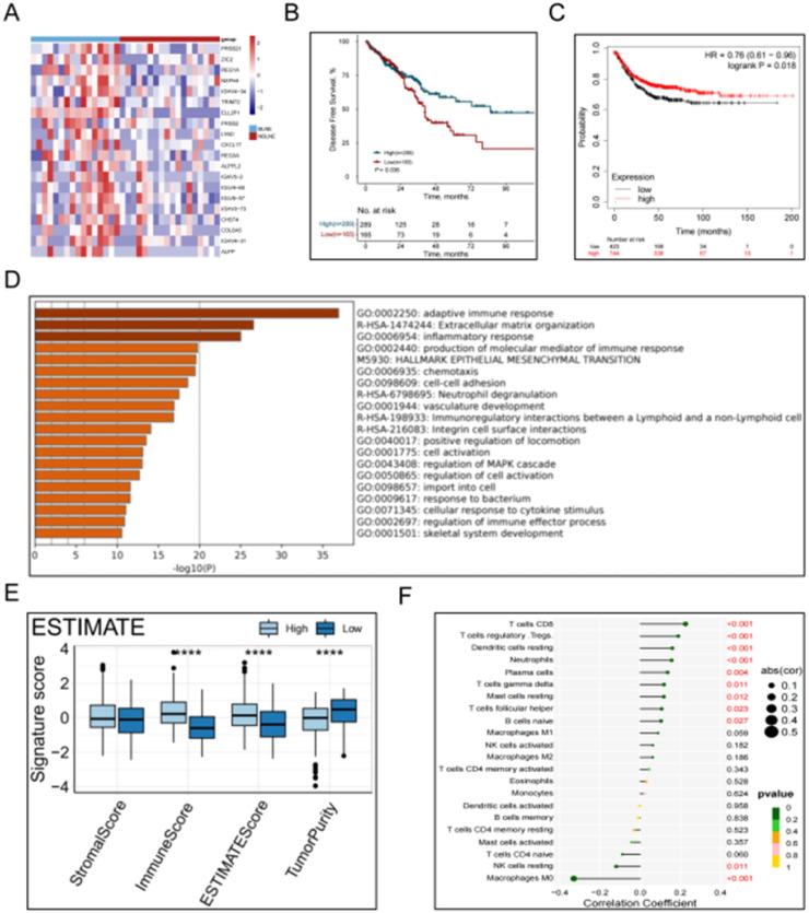 https://cdn.ncbi.nlm.nih.gov/pmc/blobs/92b9/12022693/f027dd7b93bf/gr3.jpg