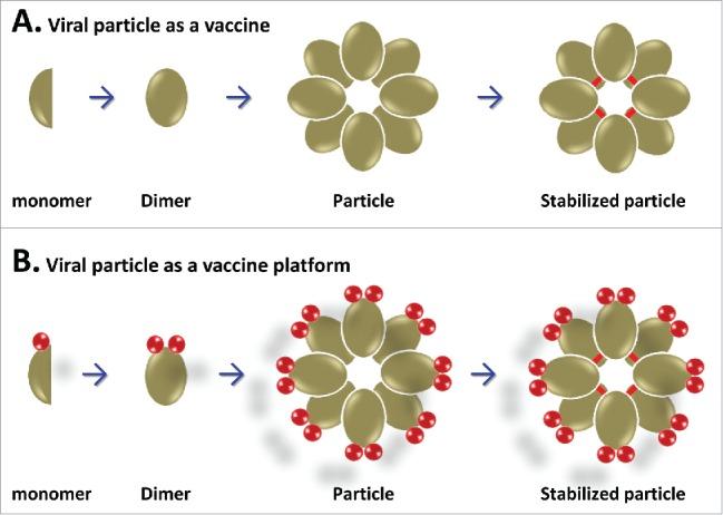 https://cdn.ncbi.nlm.nih.gov/pmc/blobs/92ba/5287306/0e8841f44cc6/khvi-13-01-1229719-g001.jpg