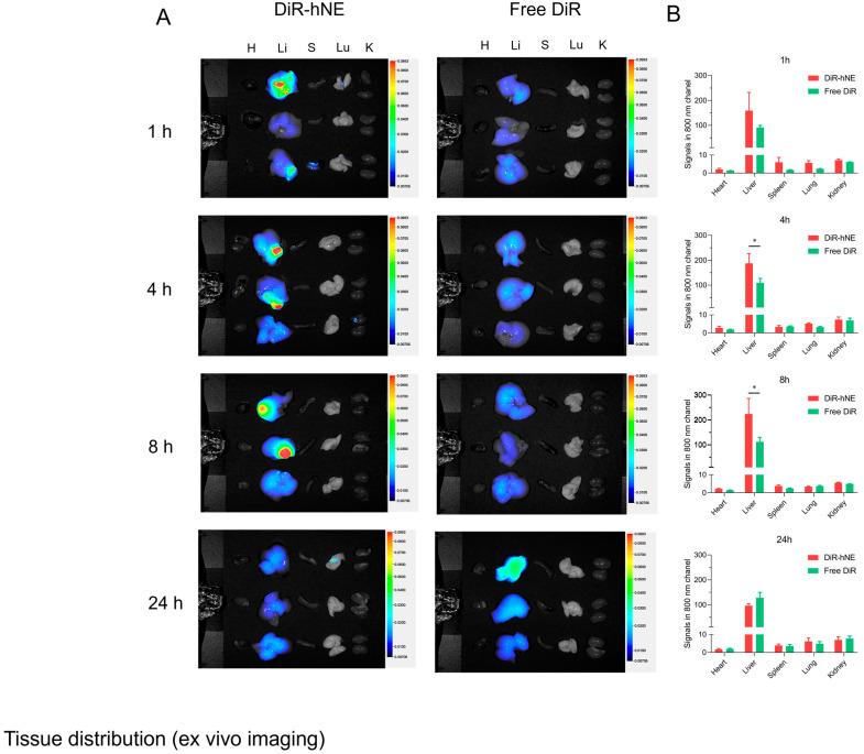 https://cdn.ncbi.nlm.nih.gov/pmc/blobs/92bd/11510375/cfe5447ac5fd/pharmaceutics-16-01303-g006.jpg