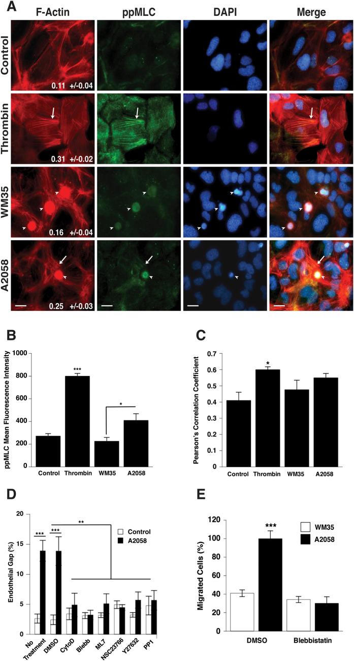 https://cdn.ncbi.nlm.nih.gov/pmc/blobs/92bf/5385522/cbc9e81c00b5/srep45835-f2.jpg
