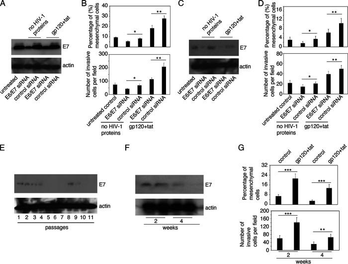 https://cdn.ncbi.nlm.nih.gov/pmc/blobs/92bf/9770004/2b500d6864d1/spectrum.03622-22-f006.jpg