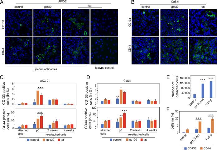https://cdn.ncbi.nlm.nih.gov/pmc/blobs/92bf/9770004/5c85edffbd9c/spectrum.03622-22-f008.jpg