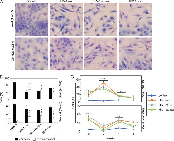 https://cdn.ncbi.nlm.nih.gov/pmc/blobs/92bf/9770004/80fcc22f479a/spectrum.03622-22-f003.jpg